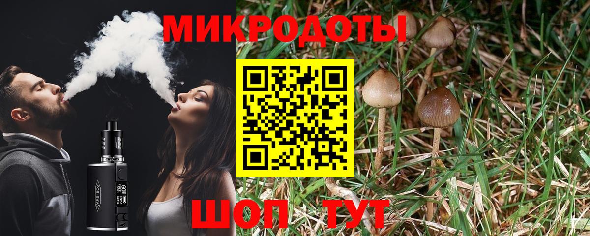 Псилоцибиновые грибы Magic Shrooms  Галлюциногенные грибы GOLDEN TEACHER  сколько стоит  Долгопрудный  Вход с VPN 